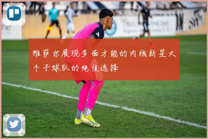 维萨尔展现多面才能的内线新星大个子球队的绝佳选择