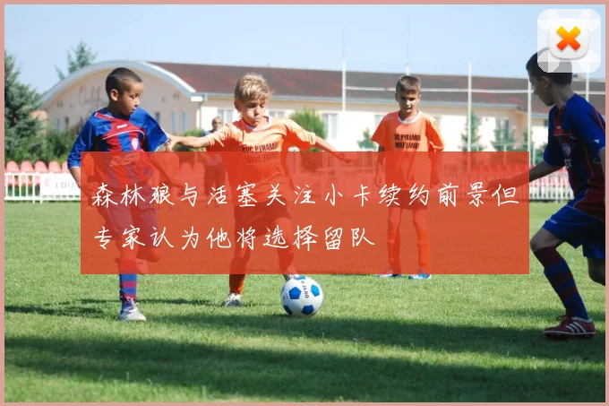 森林狼与活塞关注小卡续约前景但专家认为他将选择留队