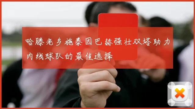 哈滕老乡施泰因巴赫强壮双塔助力内线球队的最佳选择